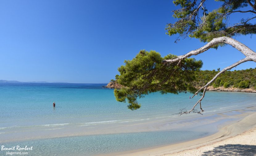 Séniors en vacances : cap sur le Lavandou