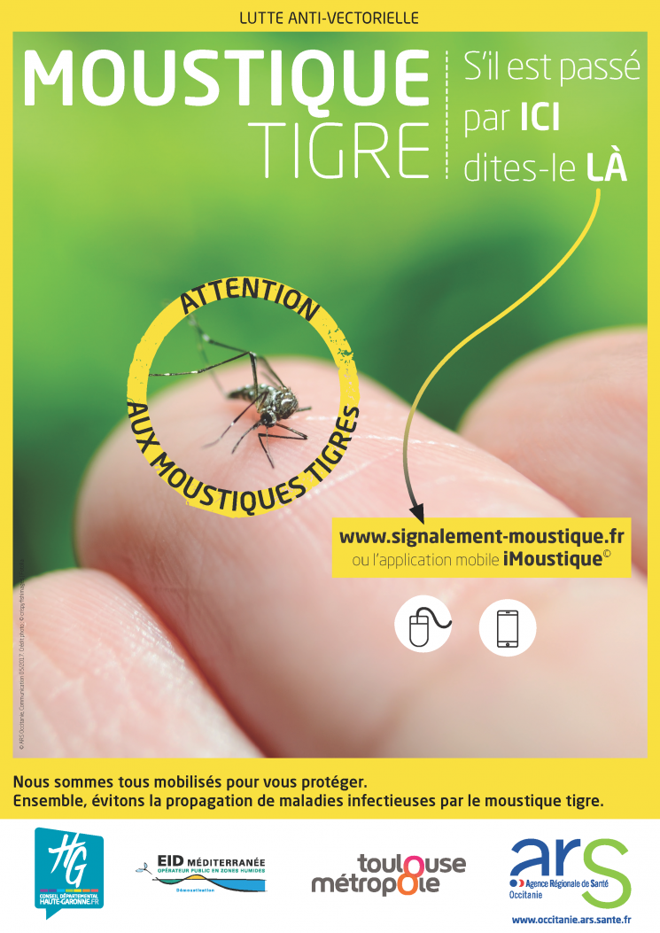 Lutte contre la propagation du moustique-tigre