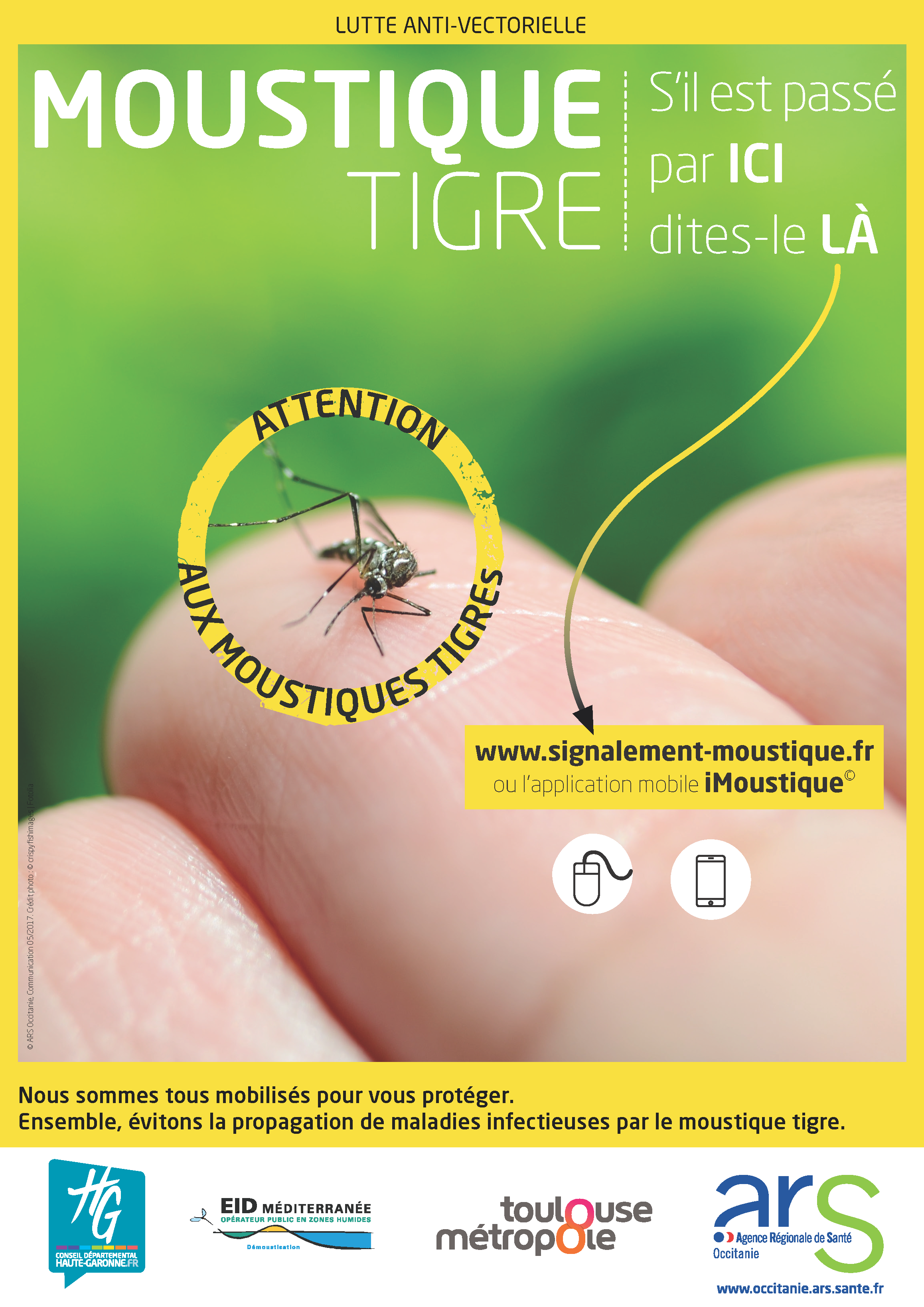Lutte contre la propagation du moustique-tigre - Gagnac sur Garonne