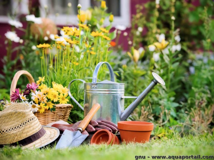 Animations aux Jardins Gagnacais