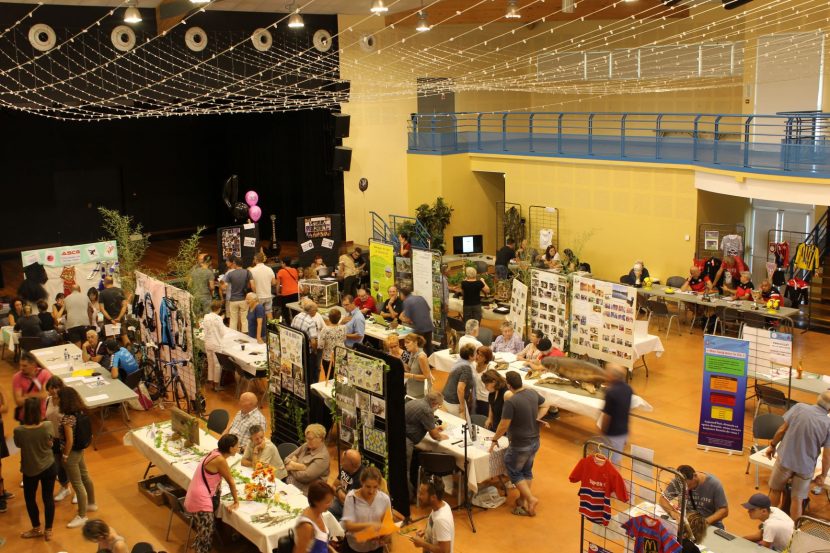 La fête des associations en images