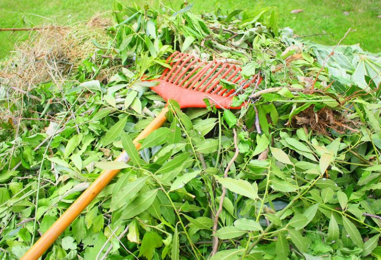 Déchets verts : gardez-les chez vous et valorisez-les !