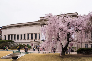 Seoul Musee