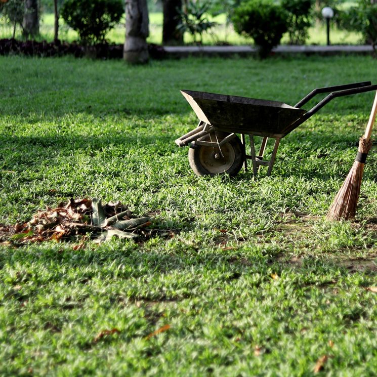 RAMASSAGE DES DÉCHETS VERTS