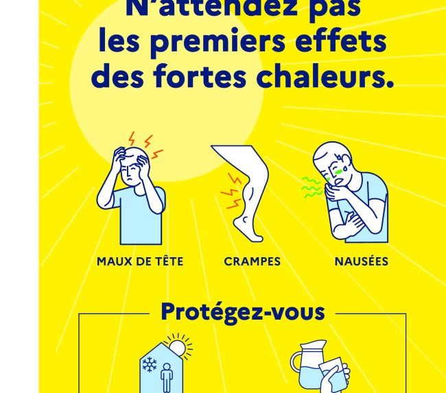CANICULE